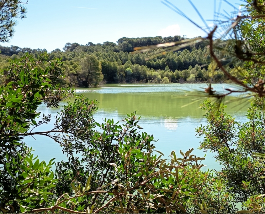 Club Cilcista Campredó